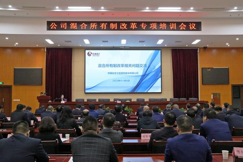 公司舉行混合所有制改革專項培訓(xùn)會